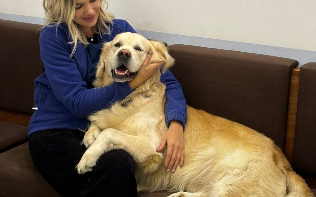 De ce vizitele regulate la medicul veterinar pot prelungi viața animăluțului tău (și ce riști dacă le amâni)